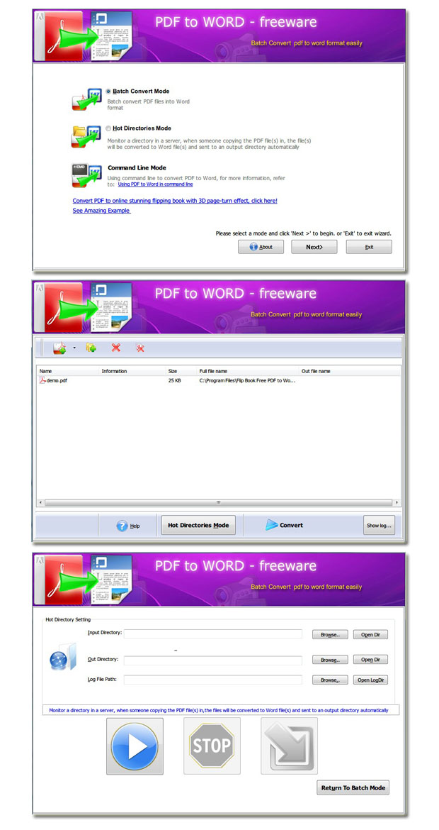 Flash Brochure Free PDF to Word screenshot