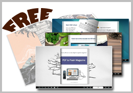 flash_brochure_classical_simple