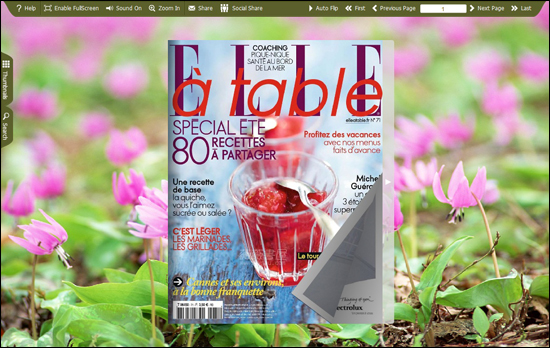 PDF to Flash Brochure (Pro) Spread Theme: Brilliant screenshot PDF to Flash Brochure (Pro) Spread Theme: Brilliant screenshot