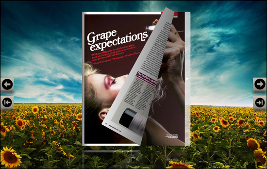 magnificent sunflowers